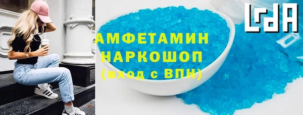 шишки Сосновый Бор