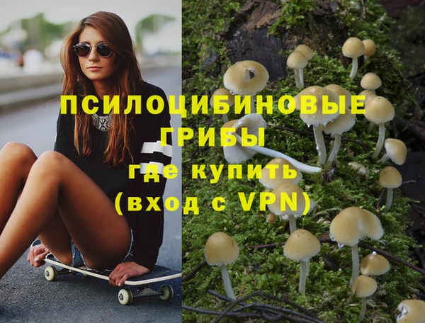 мяу мяу кристалл Бородино