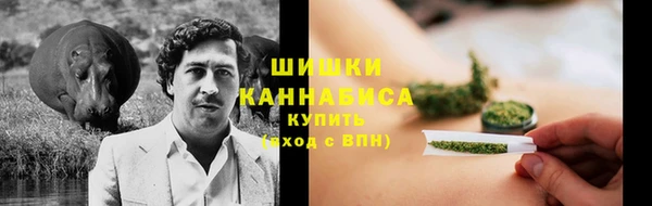 шишки Бугульма
