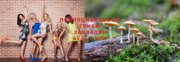 шишки Бугульма