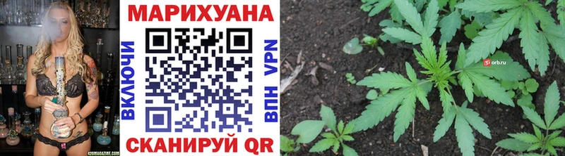 Бошки Шишки Ganja  что такое   Павлово 